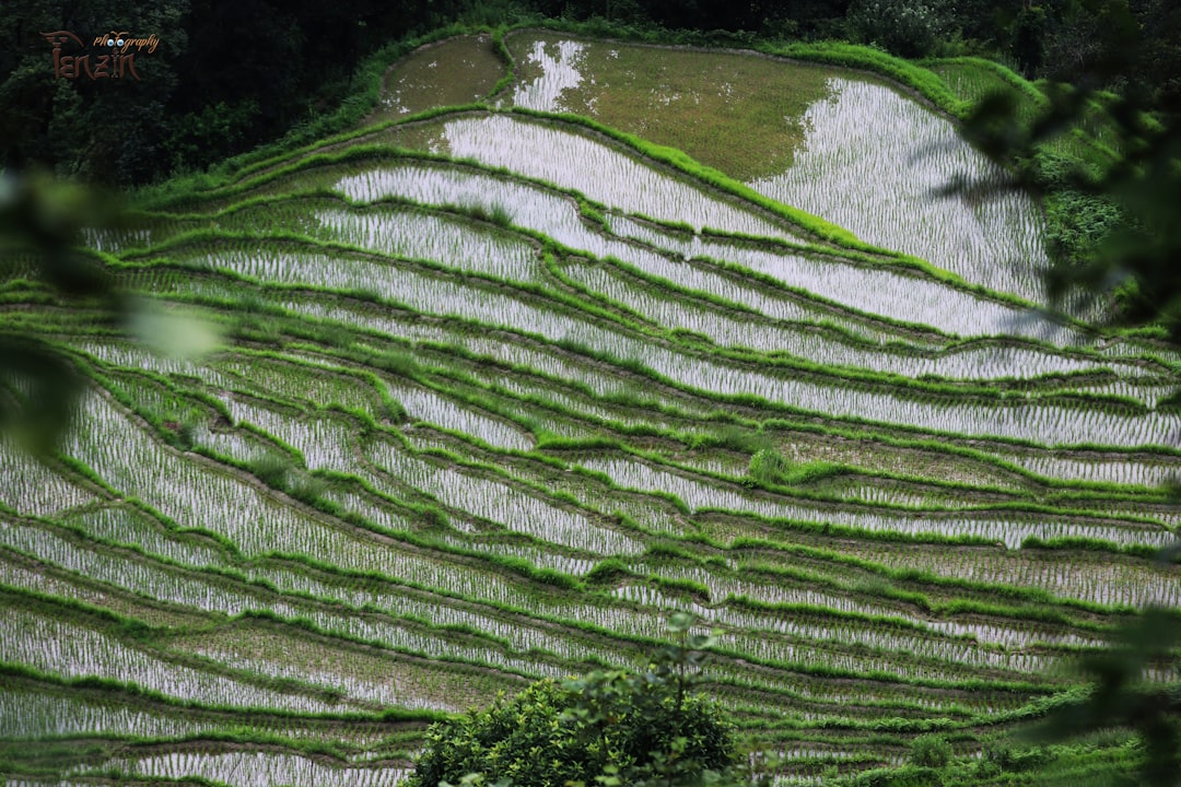 Sustainable farming practices