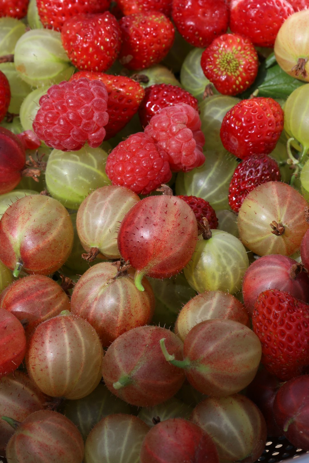Family produce box