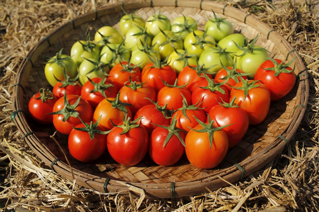 Organic box